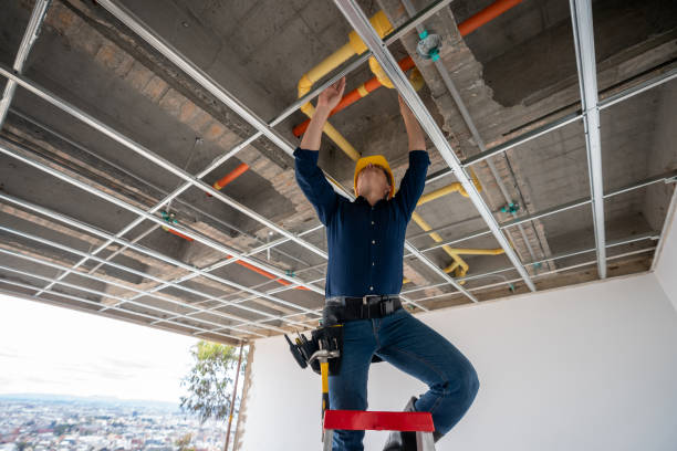 Best Local Plumber Services  in Sunset, FL